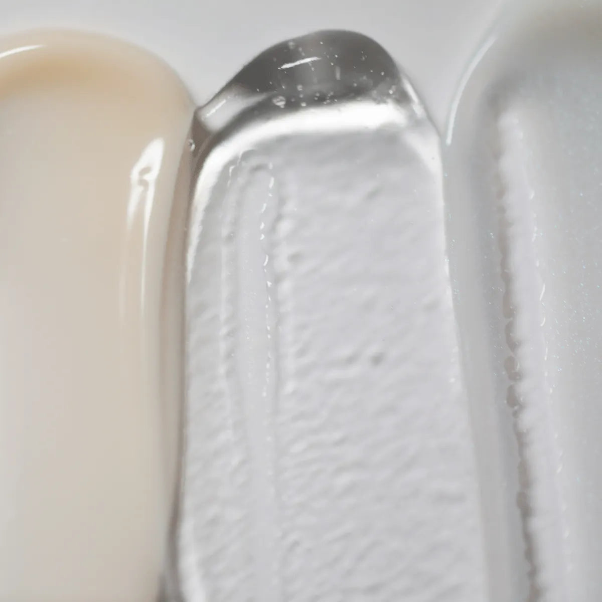 Green palm leaf beside two blank white cards on a white background.