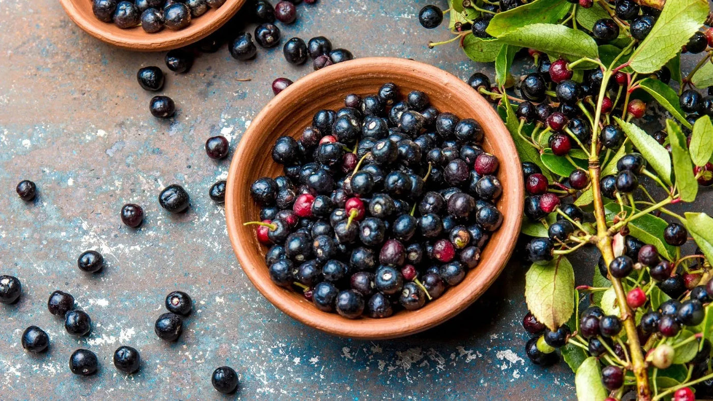 Maqui Berry Benefits for Skin